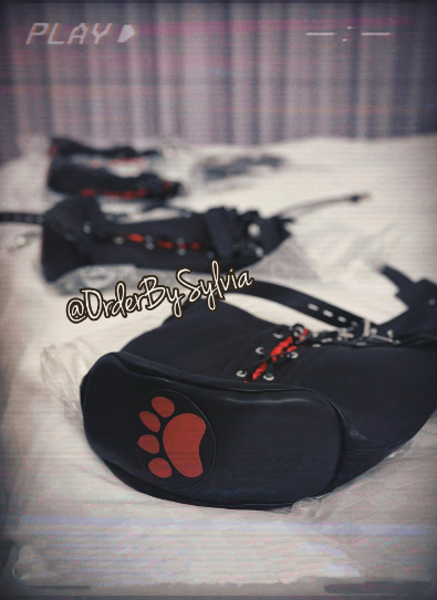 台灣推特 OrderBySylvia 瑤汐 女王 sm 18vibe