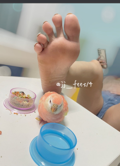 台灣fansone足控 jj_feet 靜靜